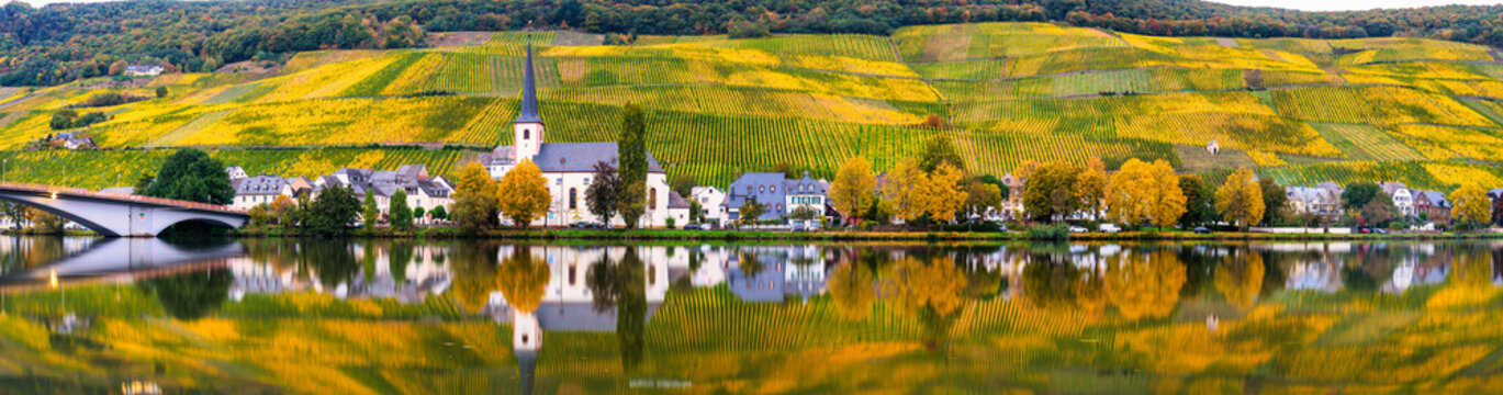 Piesport village and St. Michael church reflected in Moselle river. Germany