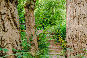 Preciosa ruta botánica de la torrecilla  © David