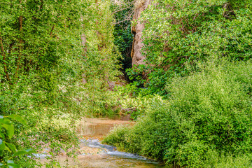 Preciosa ruta botánica de la torrecilla  © David
