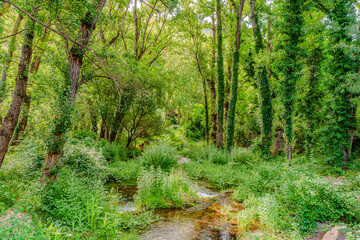 Preciosa ruta botánica de la torrecilla  © David