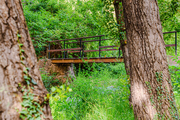 Preciosa ruta botánica de la torrecilla  © David
