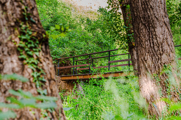 Preciosa ruta botánica de la torrecilla  © David