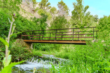 Preciosa ruta botánica de la torrecilla  © David