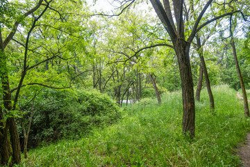 Fototapeta premium Spring Landscape of South Park in city of Sofia, Bulgaria