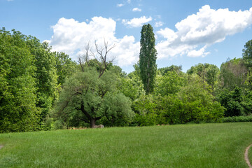 Fototapeta premium Spring Landscape of South Park in city of Sofia, Bulgaria