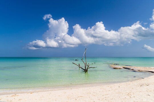 paisaje holbox