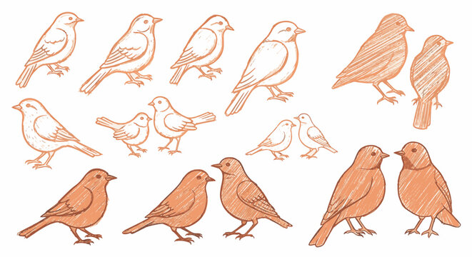 Set of hand-drawn orange sparrow and finch bird sketches in various standing and profile poses, featuring detailed hatching and line art isolated on a white background.