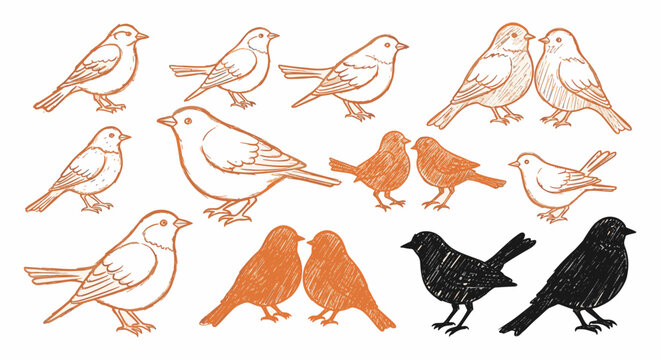 Collection of hand-drawn bird illustrations featuring small songbirds, sparrows, and finches in orange and black line art styles, sketches, and silhouettes on a white background.