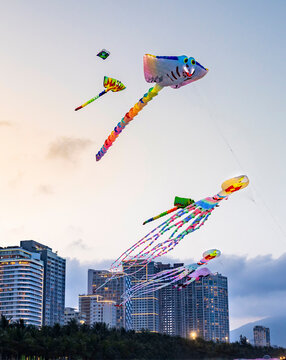 Kite flying at dusk,along Da Nang Beach,Vietnam.