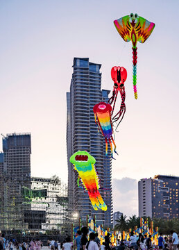 Kite flying at dusk,along Da Nang Beach,Vietnam.
