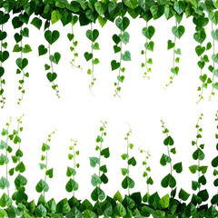 Seamless pattern of green palm leaves on transparent background for design projects © NeuroVisual Lab