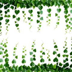 Seamless pattern of green palm leaves on transparent background for design projects © NeuroVisual Lab