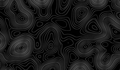 Abstract black and white topographic contour line pattern background © wiwin