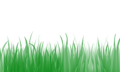 Obraz premium Fresh Green Grass Field Close Up with Soft Natural Lighting