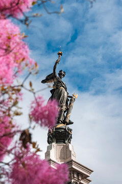 Independence Heroes Monument in Quito's Plaza Grande with Arupo Flowers