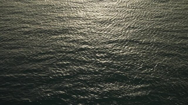 Golden sunlight shimmering across rippled open sea surface with gentle rolling swell