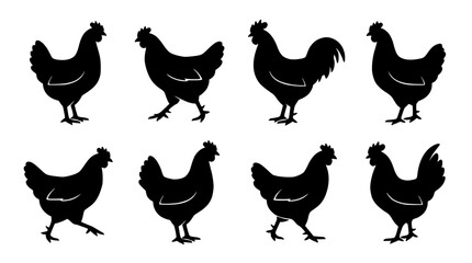 Chickens Walking in Various Poses, Black Silhouettes on White Background Featuring Poultry, Farm, Animals with Bird and Feather © mdbakul