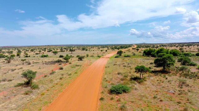 Drone view of a forked red sand road branching across the green Kalahari savanna. The lonely track cuts across endless red sand and golden grass dotted with hardy acacia trees.