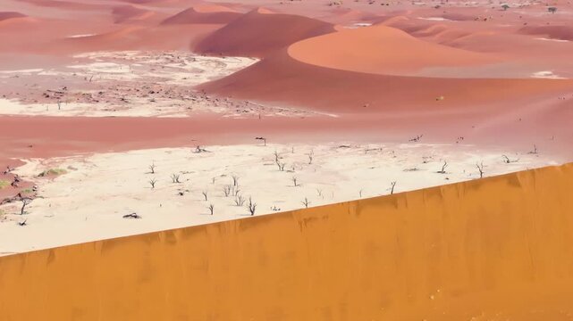Aerial drone shot of deadvlei in the Sossusvlei dune sea. The towering red dunes glow against the pale cracked clay pans of this ancient desert wilderness. High view of famous dead trees from above.