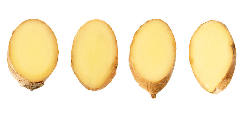 Collection of four fresh ginger root slices arranged in  row. Organic herbal ingredient with aromatic and spicy  isolated on white background.