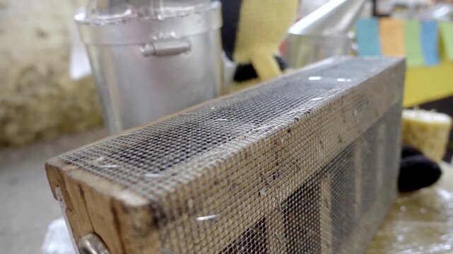 Close up of honey bee transport cage with wire mesh and wooden frame, highlighting beekeeping equipment and apiary management activities.