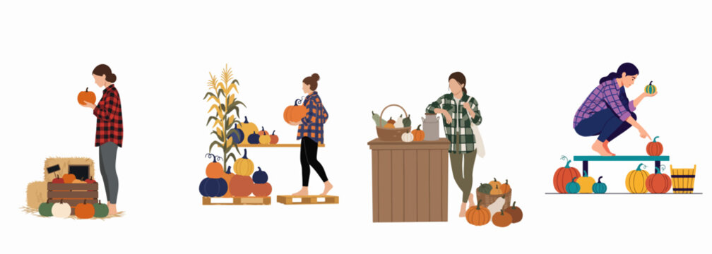 Flat vector illustration set of women picking and shopping for pumpkins at an autumn harvest market, featuring seasonal fall gourds and farm decorations