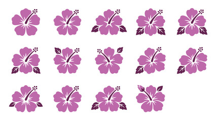 A collection of purple hibiscus flowers arranged in a grid pattern on a white background. © tr