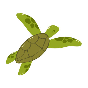 Green sea turtle swimming underwater with detailed shell pattern and flippers in motion