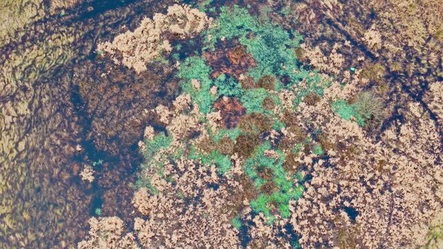Top down drone reveals flooded grasslands shaping abstract wetland patterns