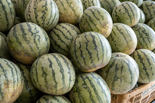 Fresh watermelons piling up at market stall
