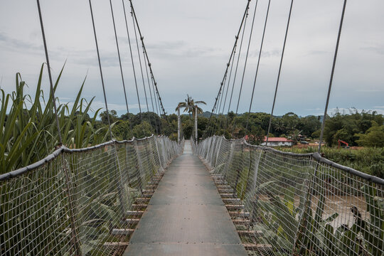 Suspension bridge pathway crossing jungle river under cloudy sky