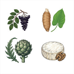 Fototapeta premium Assortment of fresh produce and cheese with nuts on white background in vector illustration style
