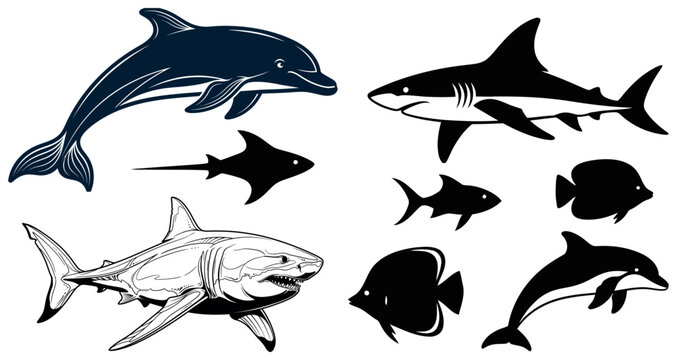 Marine life illustration collection dolphins sharks and various fish species