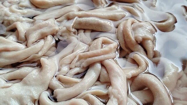 Fresh chicken intestines isolated on a clean background, a popular poultry offal ingredient widely used in traditional Asian cuisine. This high-quality close-up image highlights the natural texture, f