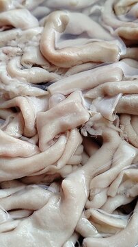 Fresh chicken intestines isolated on a clean background, a popular poultry offal ingredient widely used in traditional Asian cuisine. This high-quality close-up image highlights the natural texture, f