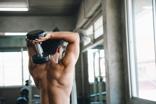 Shirtless man dumbbell exercise gym back arm muscle fitness strength Shirtless man lifting dumbbell overhead gym, showing back muscle, arm strength, fitness exercise, athletic training near window