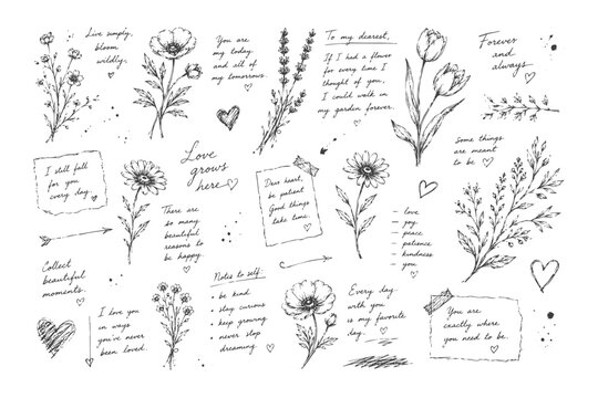 Hand drawn botanical illustrations with handwritten notes and hearts.