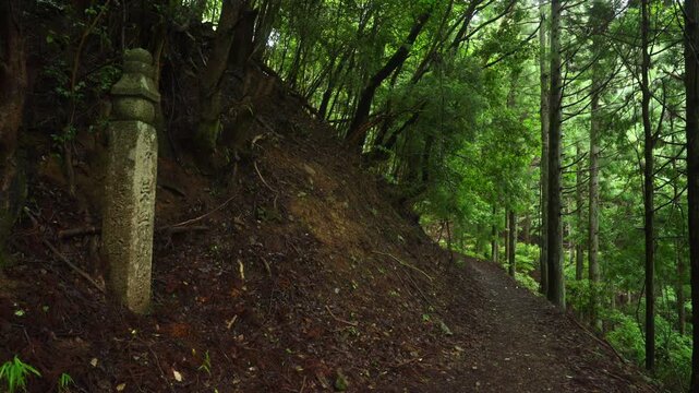 Choishimichi Pilgrimage Route &ndash; 35th Choishi Milestone in Koyasan, Koya Town, Wakayama Prefecture「高野参詣 町石道・35町石」和歌山県高野町