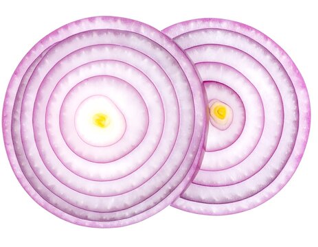 Illustration of two sliced red onions with concentric rings and yellow centers