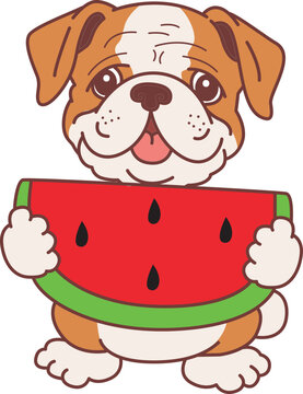 Cute funny Bulldog sticker icon. Funny Bulldog 
