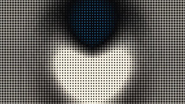 Abstract Pixelated Portrait: A close-up abstract portrait rendered in a pixelated mosaic style, featuring a striking contrast between a dark, shadowy top and a brightly lit, white lower section.