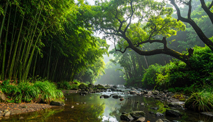 Fototapeta premium Tranquil Bamboo Forest Stream with Lush Greenery and Misty Atmosphere.