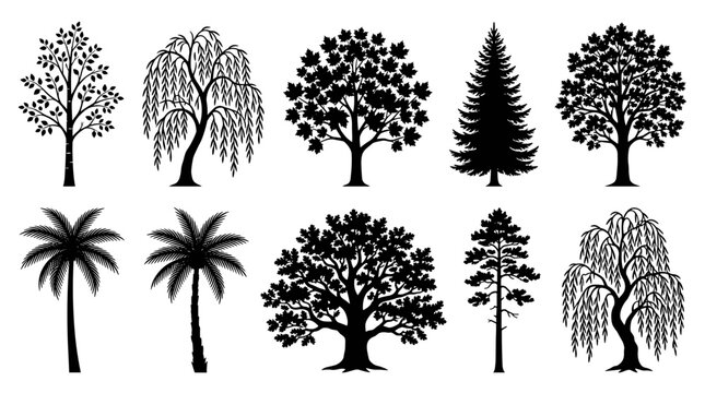 Collection of diverse tree silhouettes including palm, weeping willow, oak, maple, and pine trees