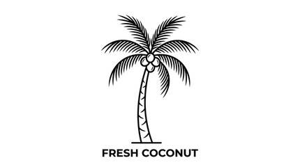 Obraz premium Minimalist black and white coconut palm tree illustration.