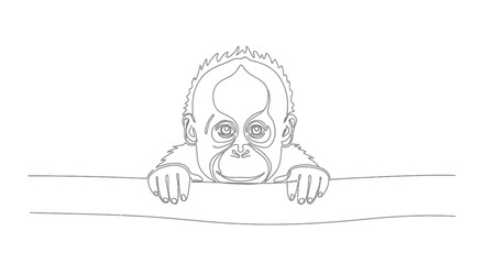 Baby orangutan peeking over a branch, line art illustration, cute primate animal portrait. © Vector