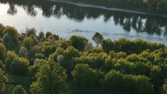 Po River flows through the Maginot wetland area near Olza, Monticelli d'Ongina, Piacenza, Emilia-Romagna, Italy, bordered by riparian woodland, floodplain habitats and riverine ecosystems, drone pullb