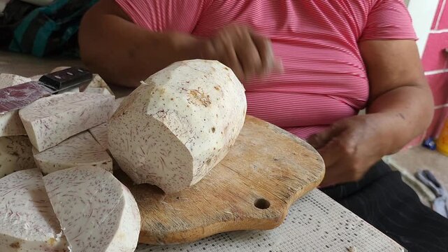Woman cutting freshly harvested sweet potatoes from the ground in southern Mexico