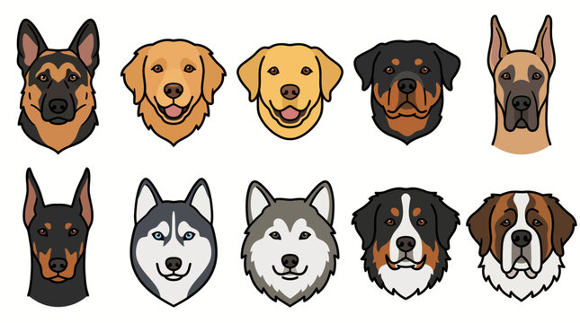 Collection of different dog breed head icons set.