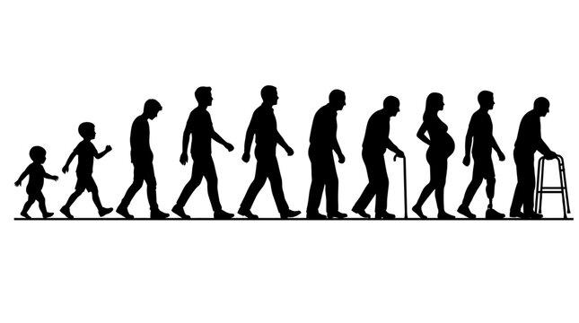 Human life cycle silhouette set representing aging stages from childhood to old age.