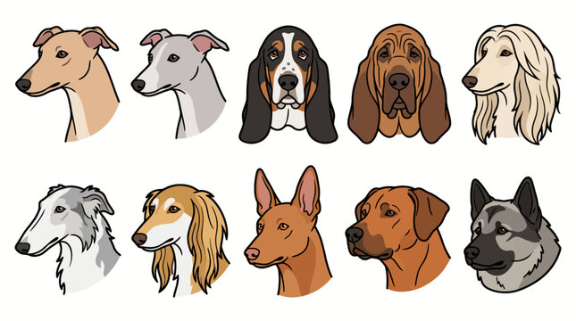 Set of various purebred dog heads illustration.